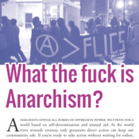 L’anarchie : What The Fuck?