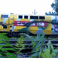 Fuck le Canada : de la peinture aux couleurs de l’anarchie verte est lancée sur les trains VIA Rail célébrant le génocide colonial