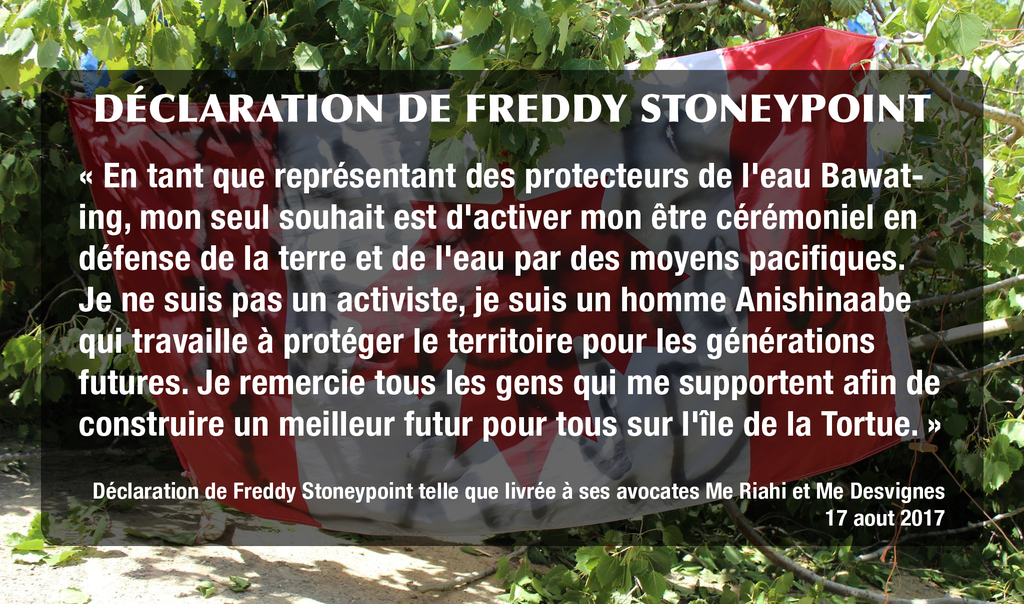 Déclaration de Freddy Stoneypoint