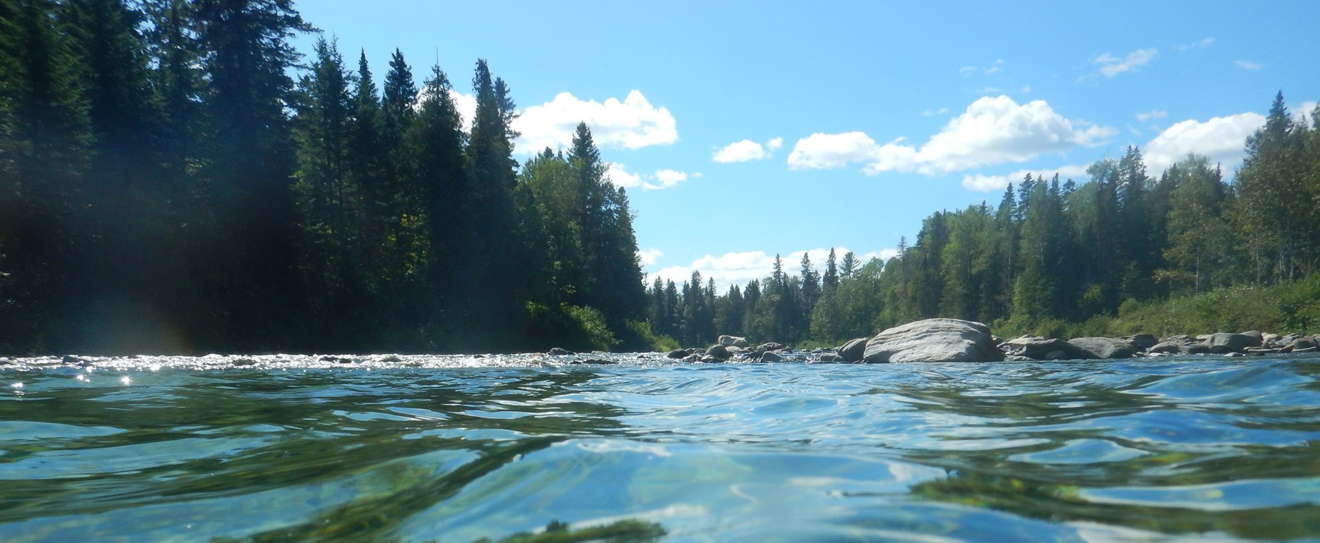 The River Camp is there to stay!